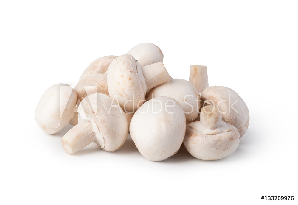 ホンマタカシ / SCANDINAVIAN MUSHROOM SCANDINAVIAN MUSHROOM : BK150344 | Brisées webshop